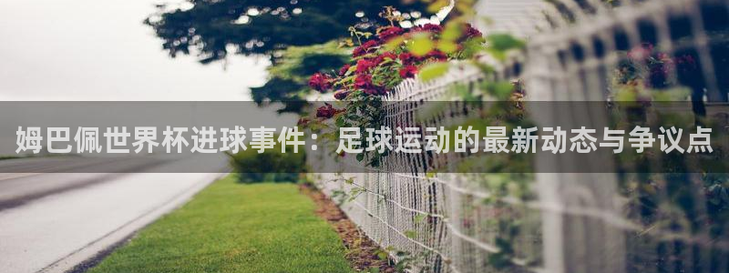 中國 世界杯：姆巴佩世界杯進球事件：足球運動的最新動態與爭議點