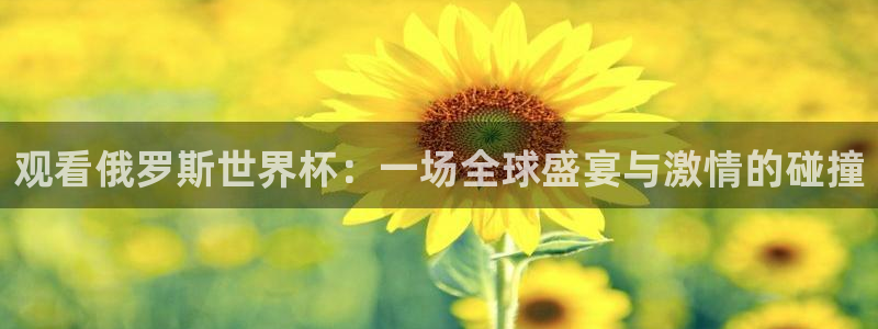 世界杯對陣圖2026：觀看俄羅斯世界杯：一場全球盛宴與激情的碰撞