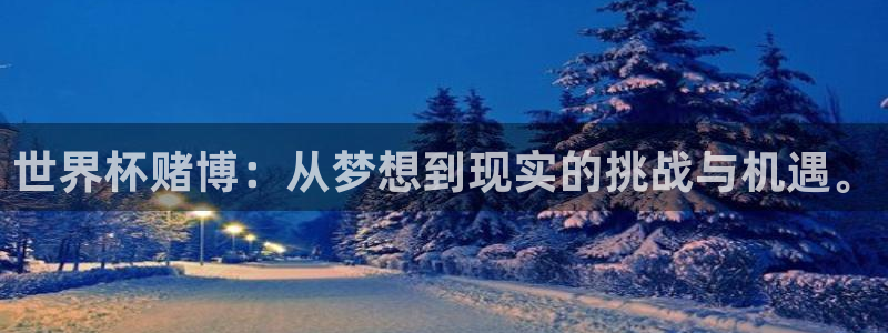 世界杯預(yù)選賽排名：世界杯賭博：從夢想到現(xiàn)實(shí)的挑戰(zhàn)與機(jī)遇。