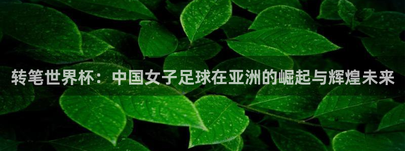 世界杯球賽：轉(zhuǎn)筆世界杯：中國女子足球在亞洲的崛起與輝煌未來