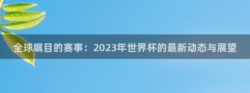 國際足聯(lián)世界杯：全球矚目的賽事：2023年世界杯的最新動態(tài)與展望