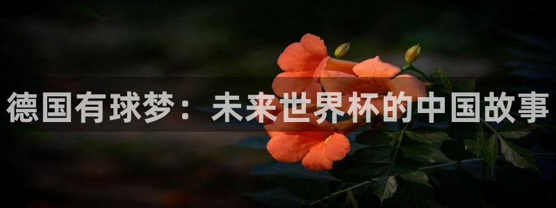 2026年世界杯直播平臺：德國有球夢：未來世界杯的中國故事