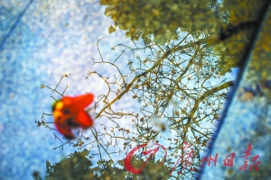 廣州墓園清明節(jié)祭祀活動(dòng)需先過安檢關(guān)